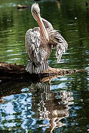 《钞票清理工模拟器》5月率先登陆PC 恢复物理洁净